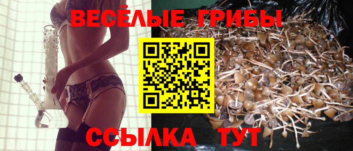 закладка  Псилоцибиновые грибы Magic Shrooms  Вход с VPN  Саров 