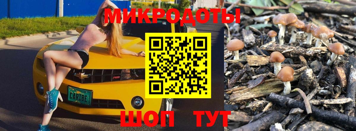Псилоцибиновые грибы мухоморы Саров